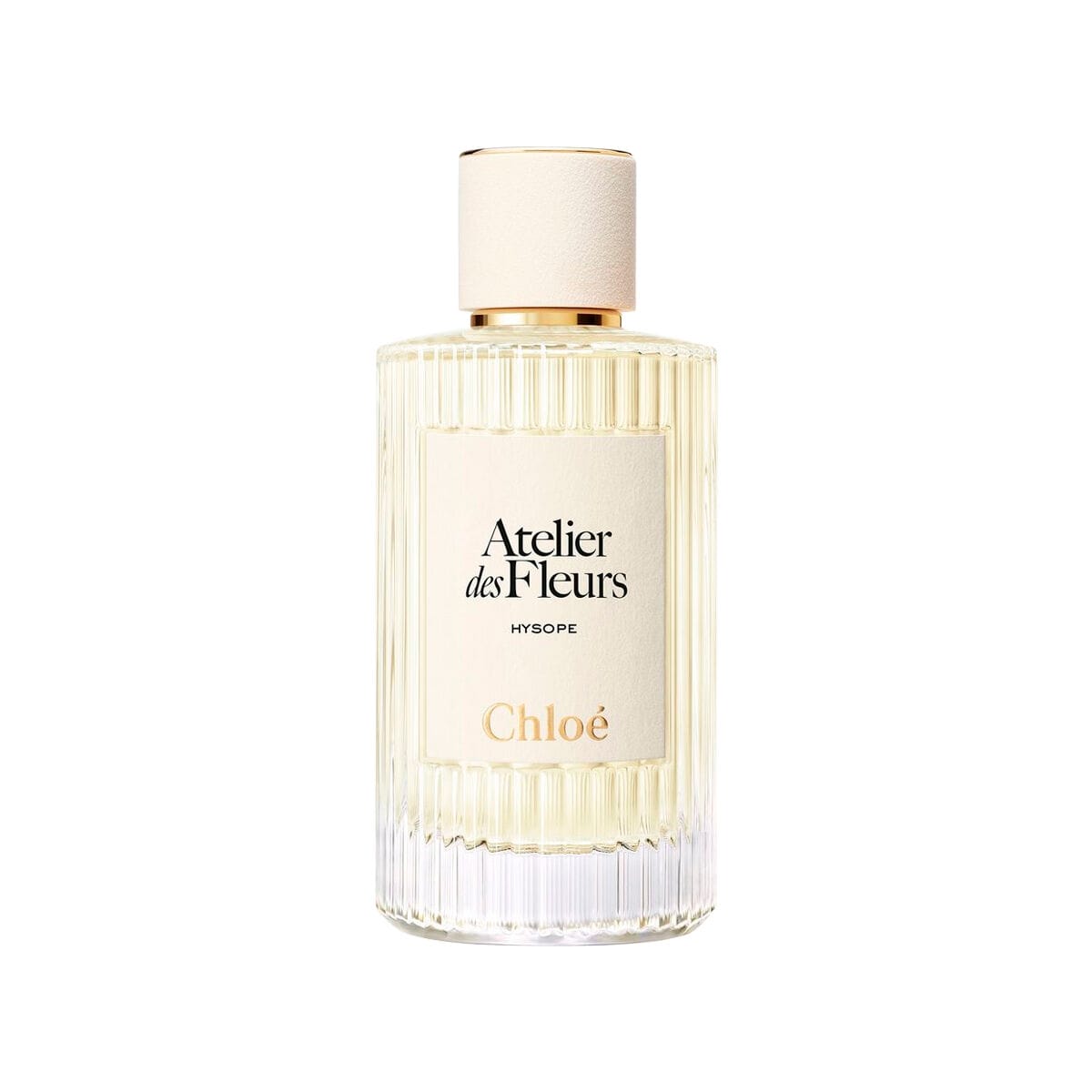 Chloe Atelier De Fleurs - Hysope
