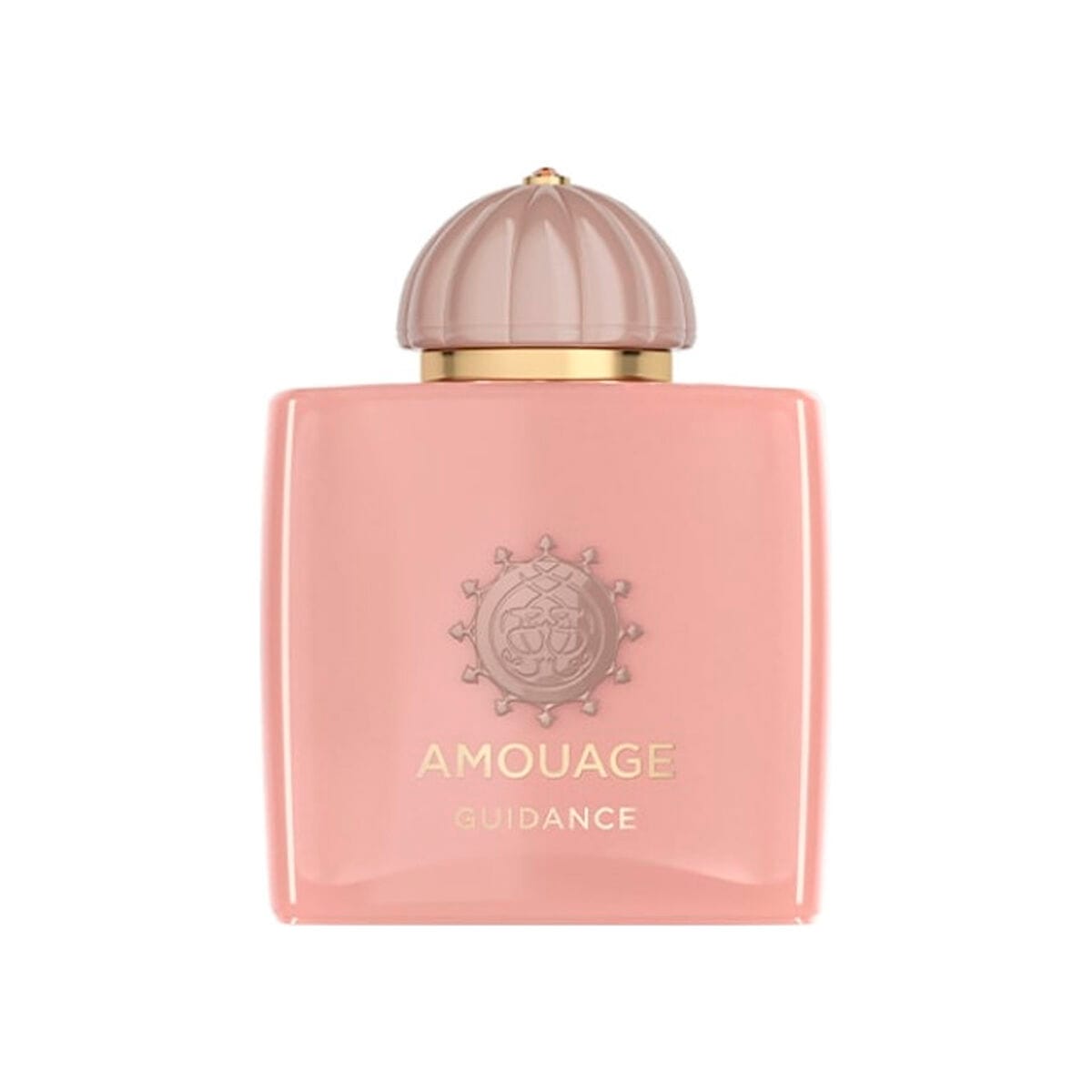 Amouage Guidance