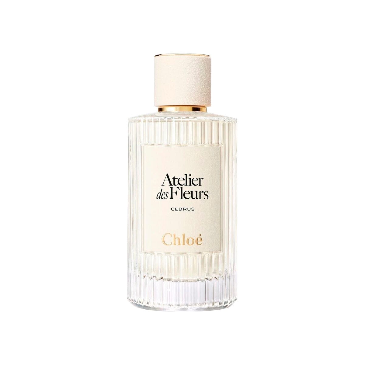 Chloe Atelier Des Fleurs Cedrus