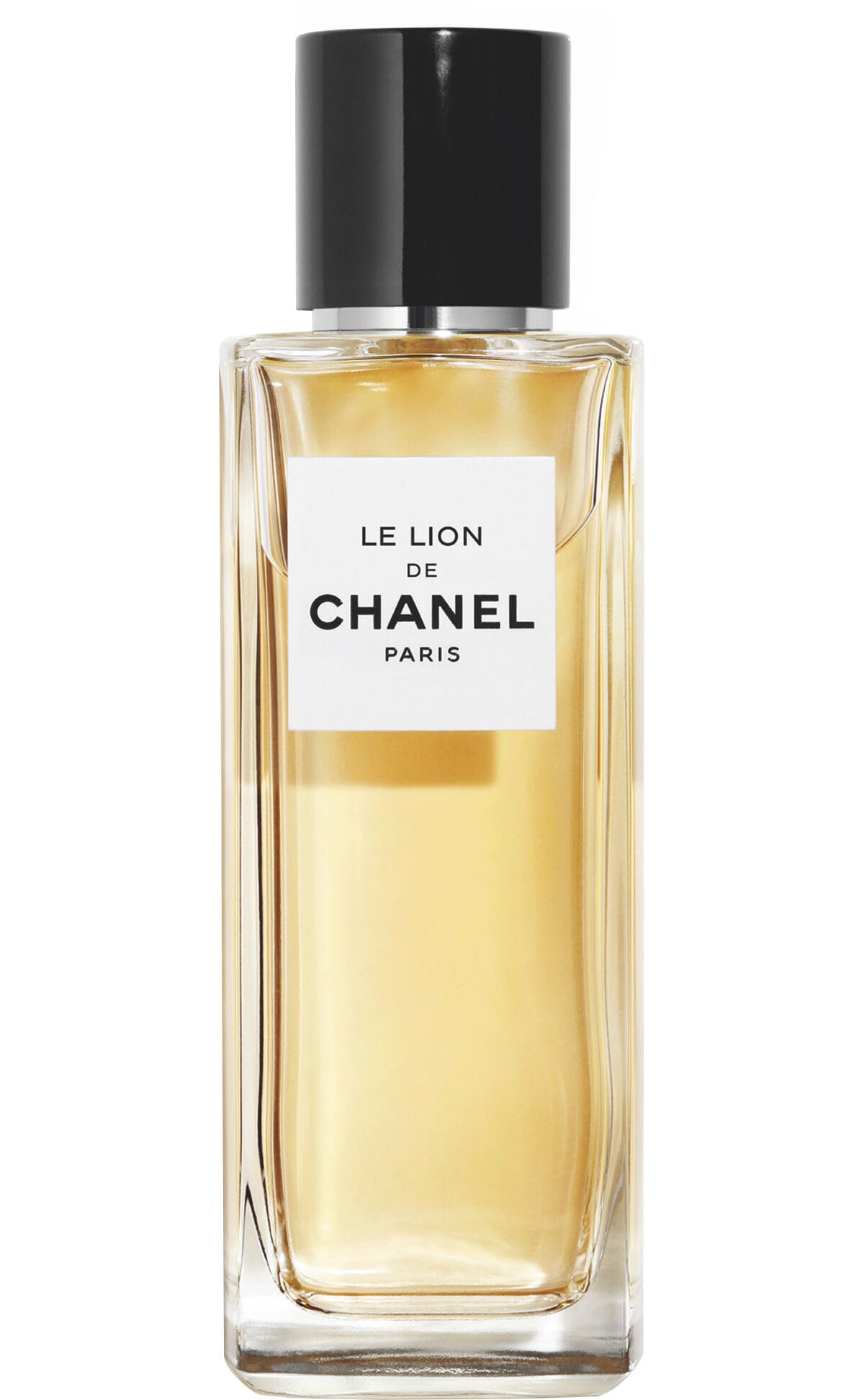 Chanel Le Lion De Chanel