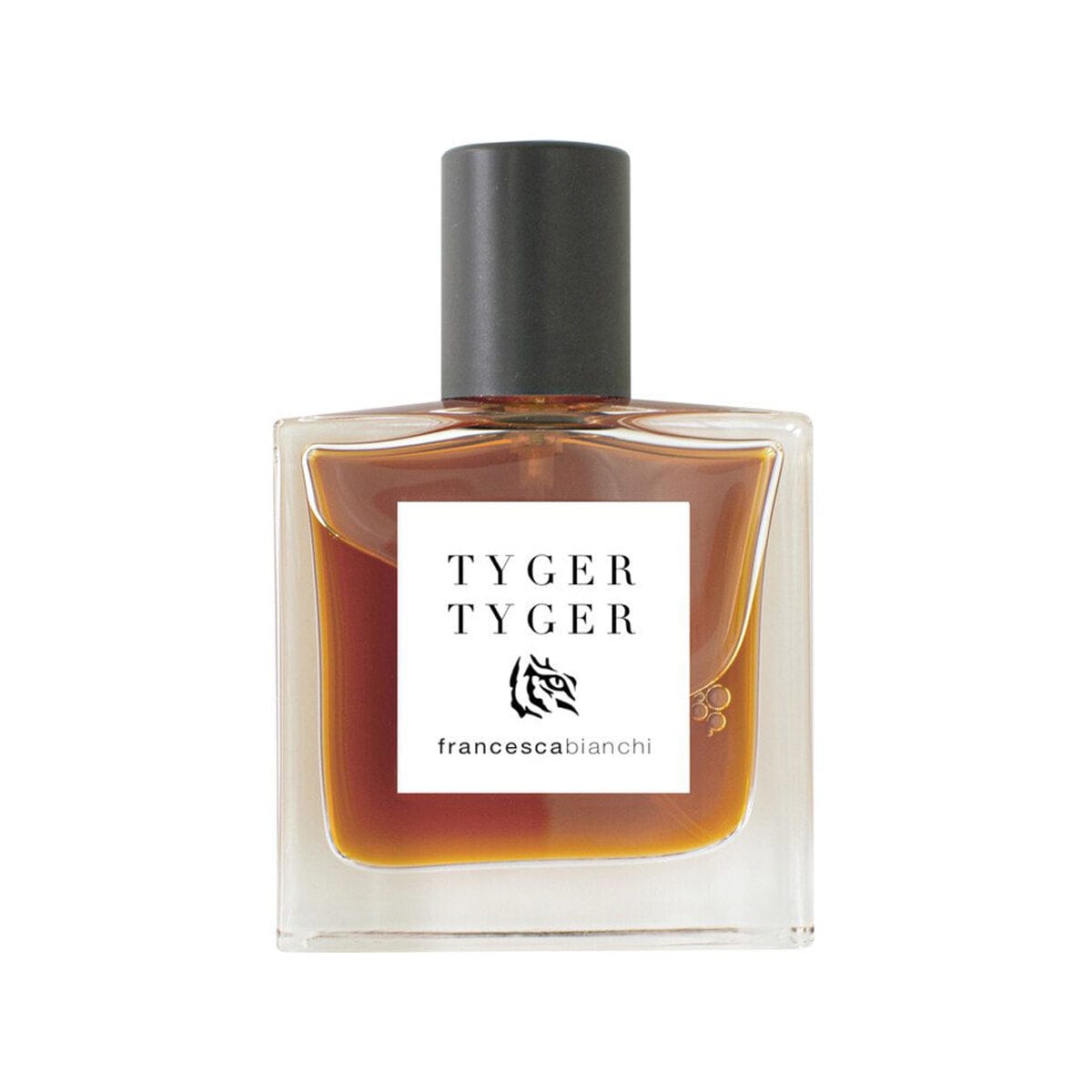 Francesca Bianchi Tyger Tyger