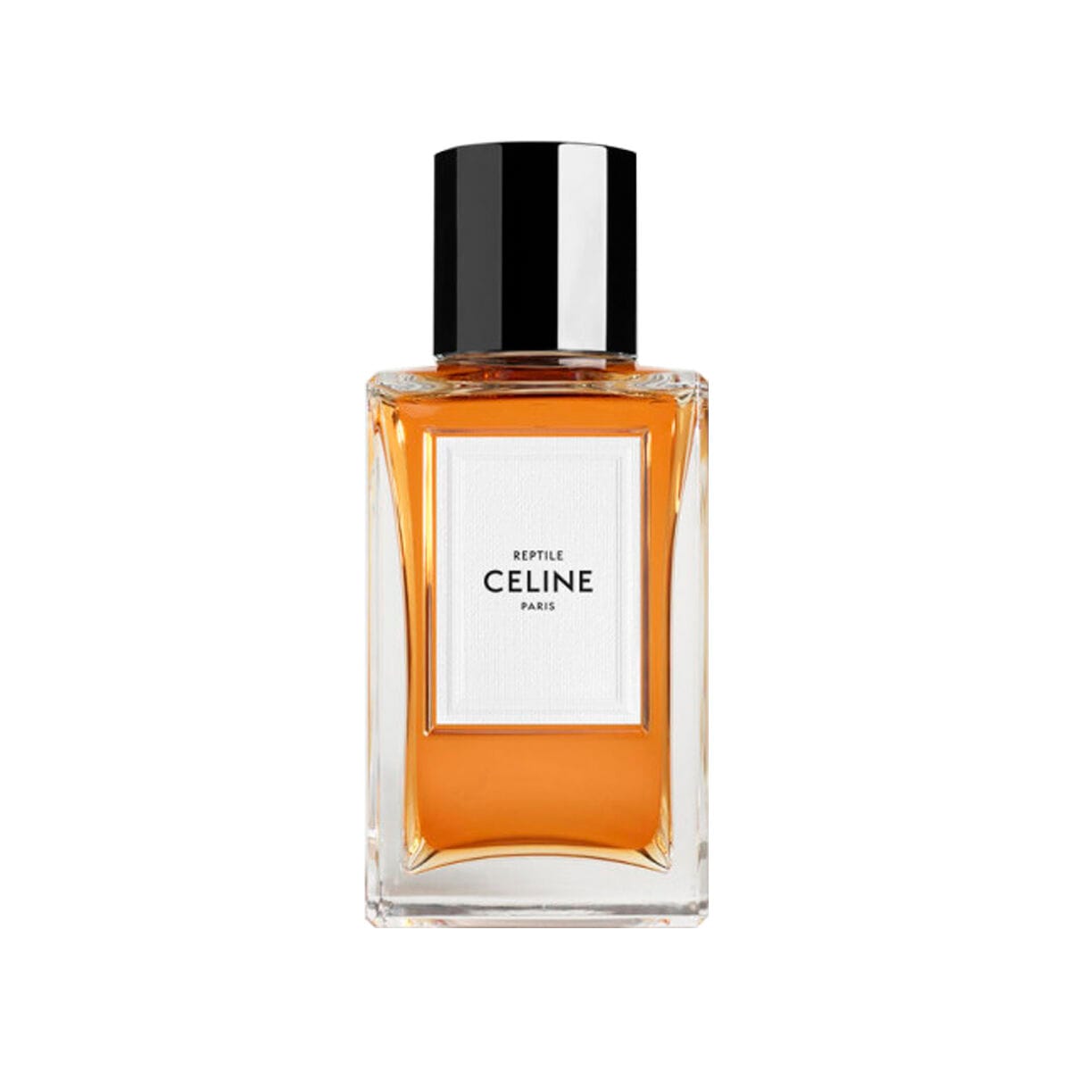 Celine Reptile