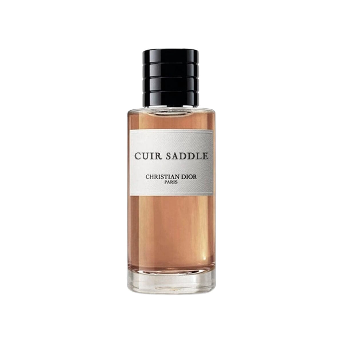 Christian Dior Cuir Saddle