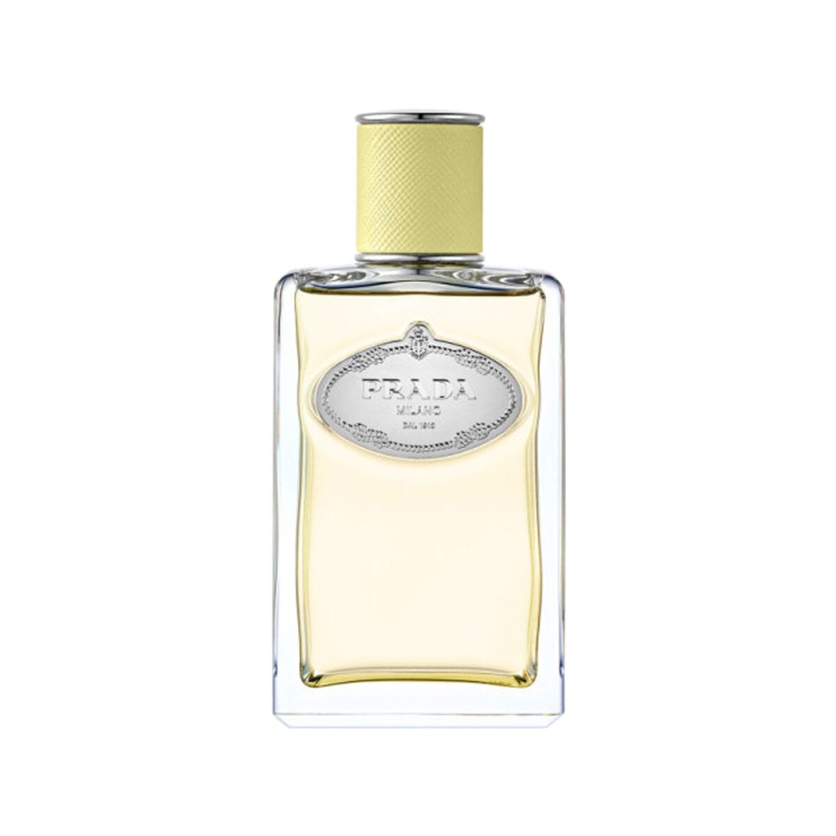 Prada Infusion De Gingembre