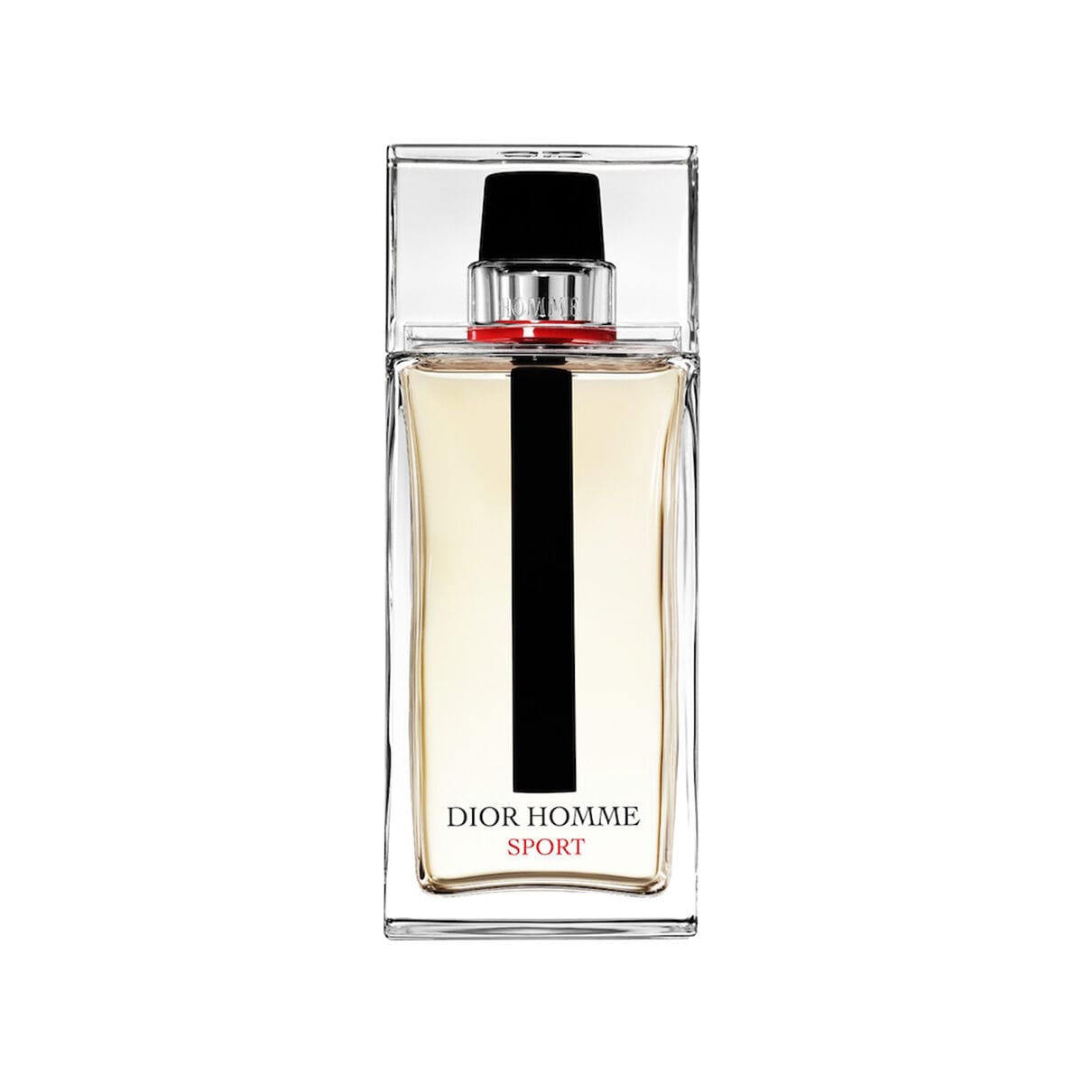 Christian Dior Homme Sport 2017