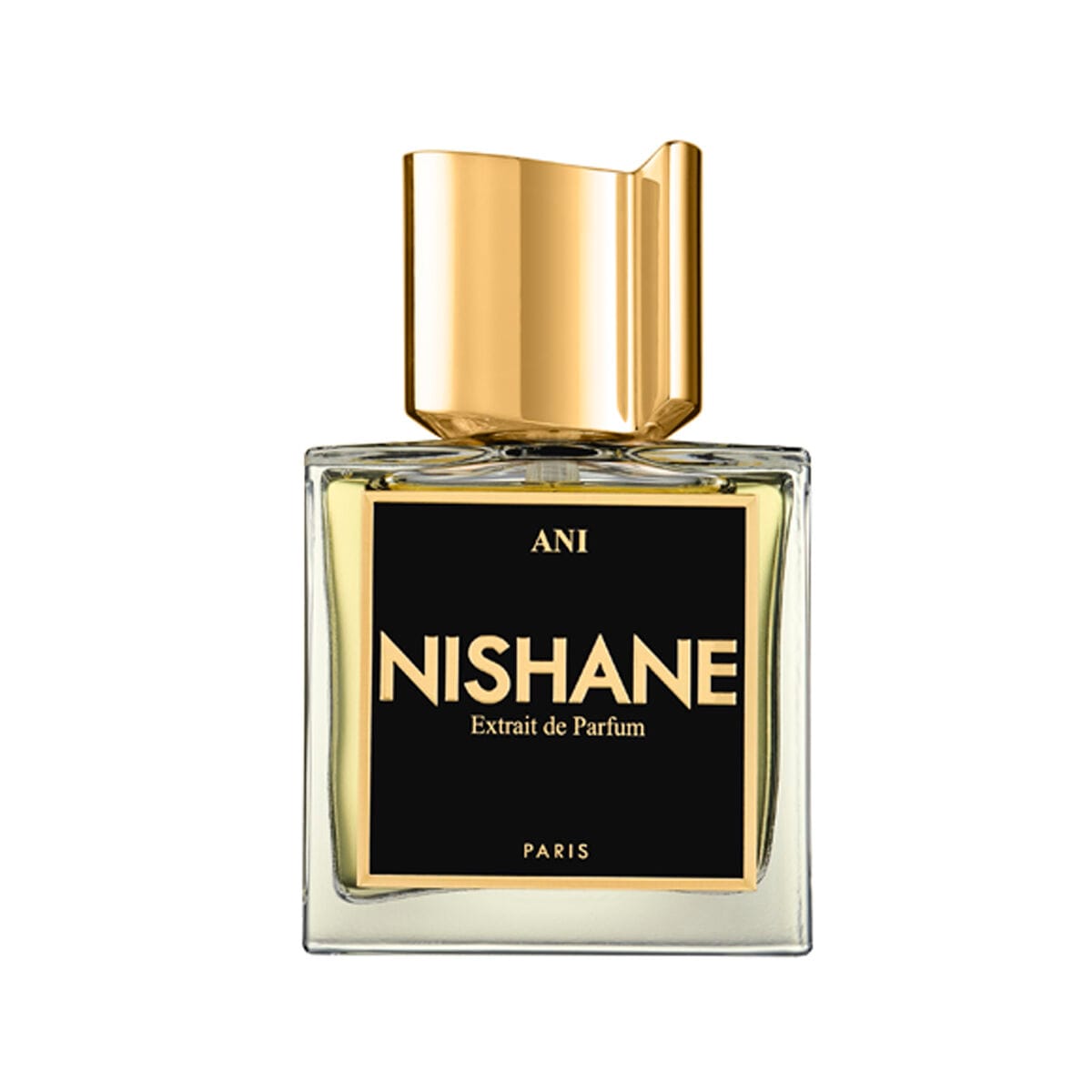Nishane Ani