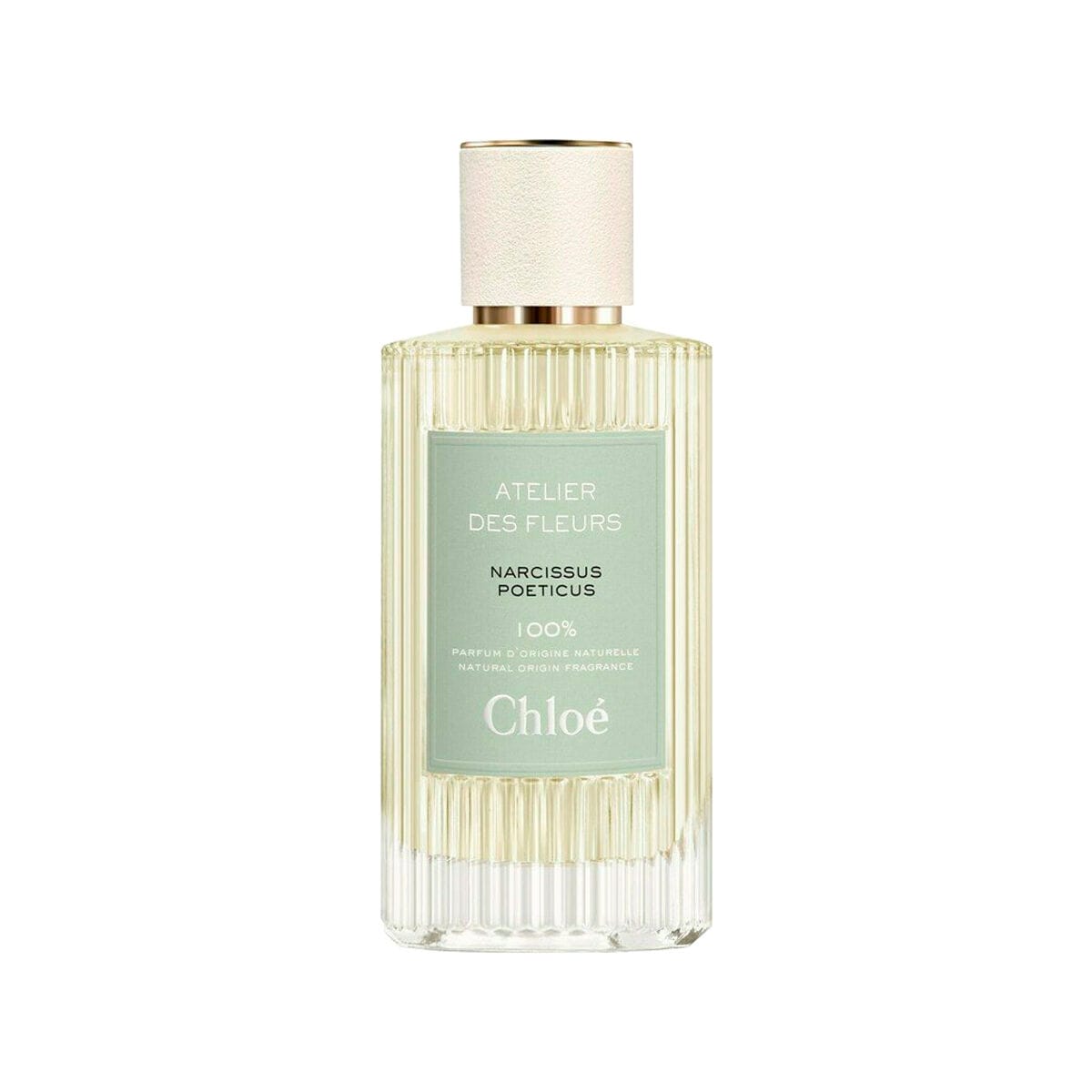 Chloe Atelier Des Fleurs Narcissus Poeticus