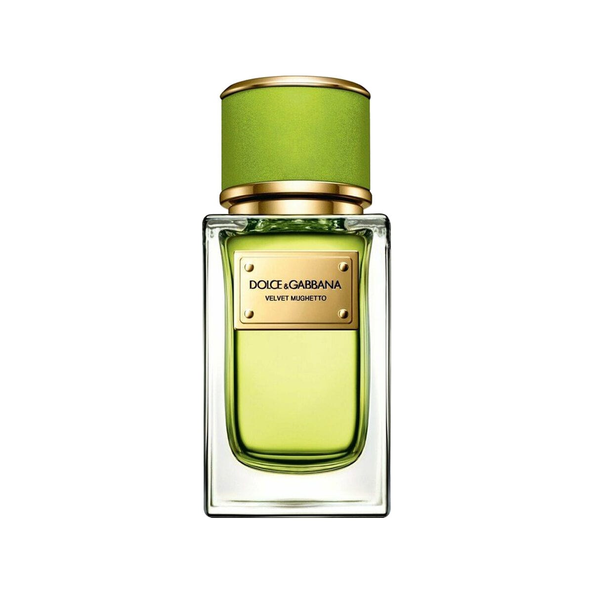 Dolce & Gabbana Velvet Mughetto