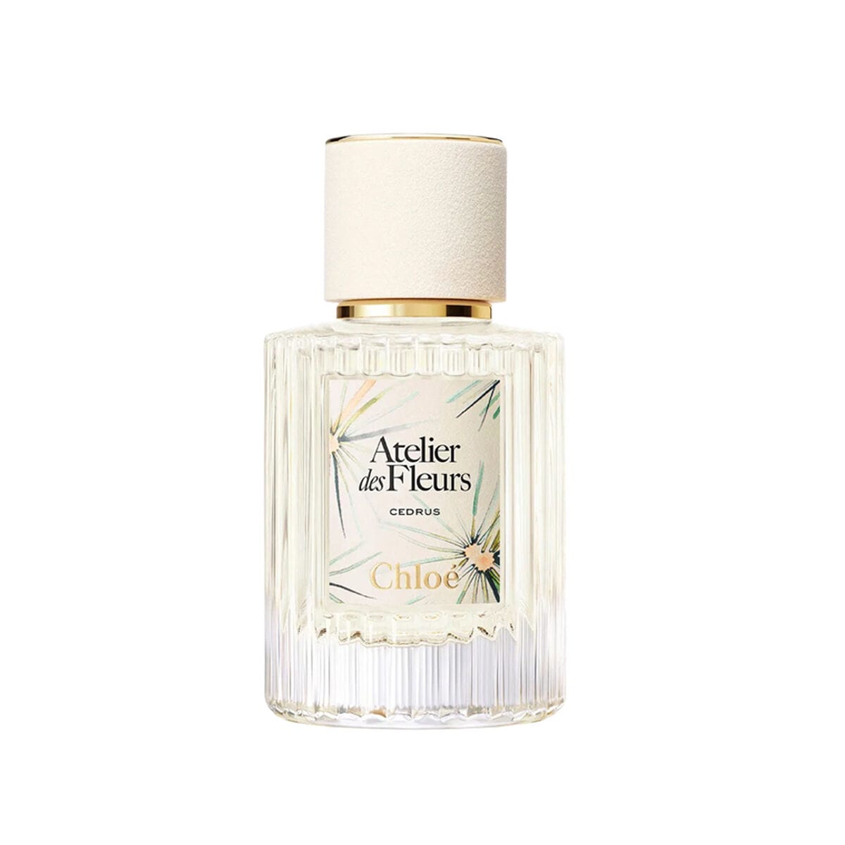 Chloe Atelier Des Fleurs Cedrus Limited Edition