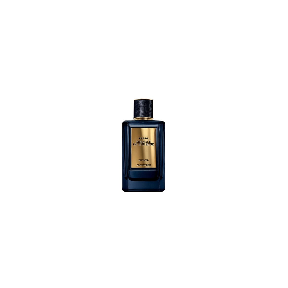 Prada Olfactories Miracle Of The Rose