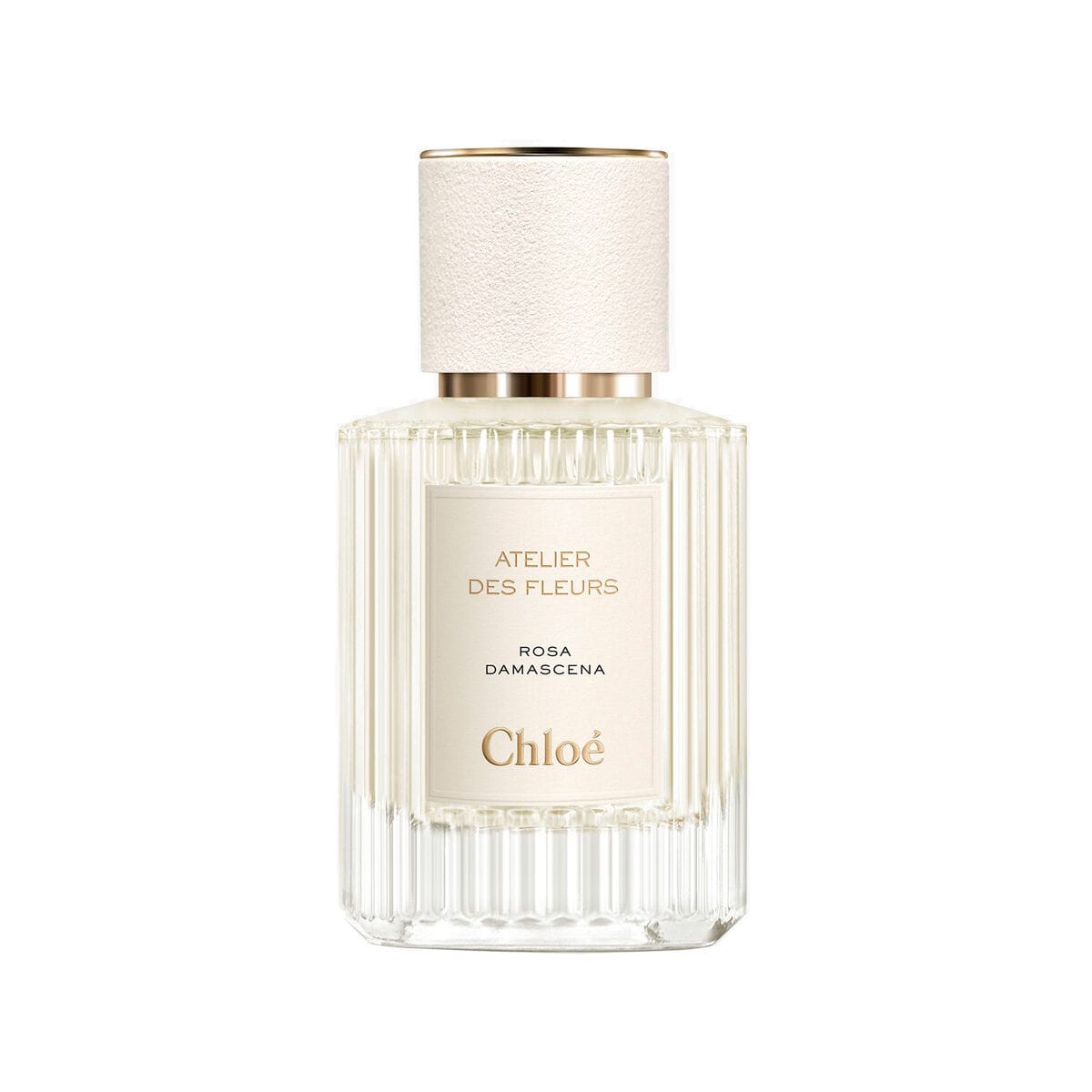 Chloe Atelier Des Fleurs Rosa Damascena