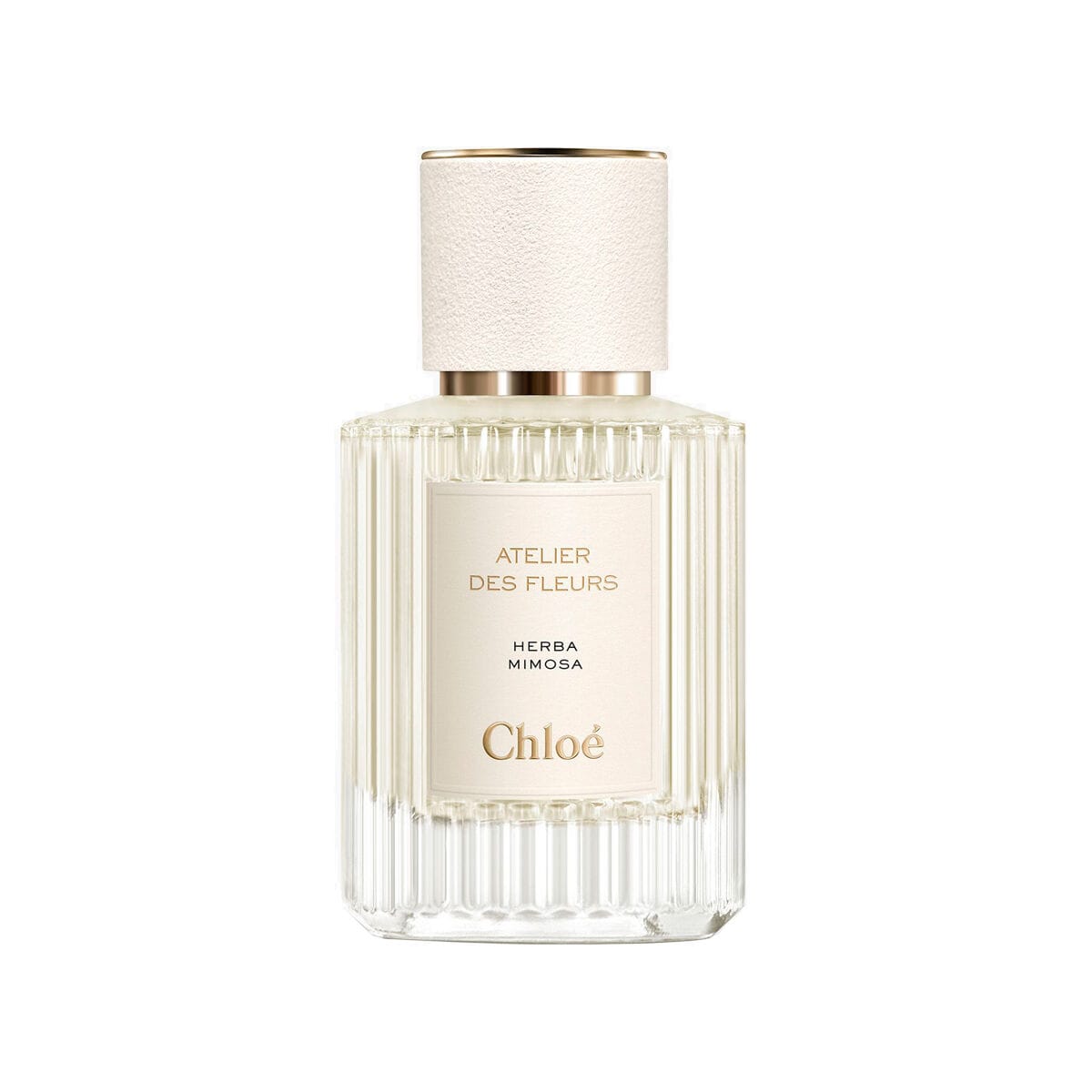 Chloe Atelier Des Fleurs Herba Mimosa