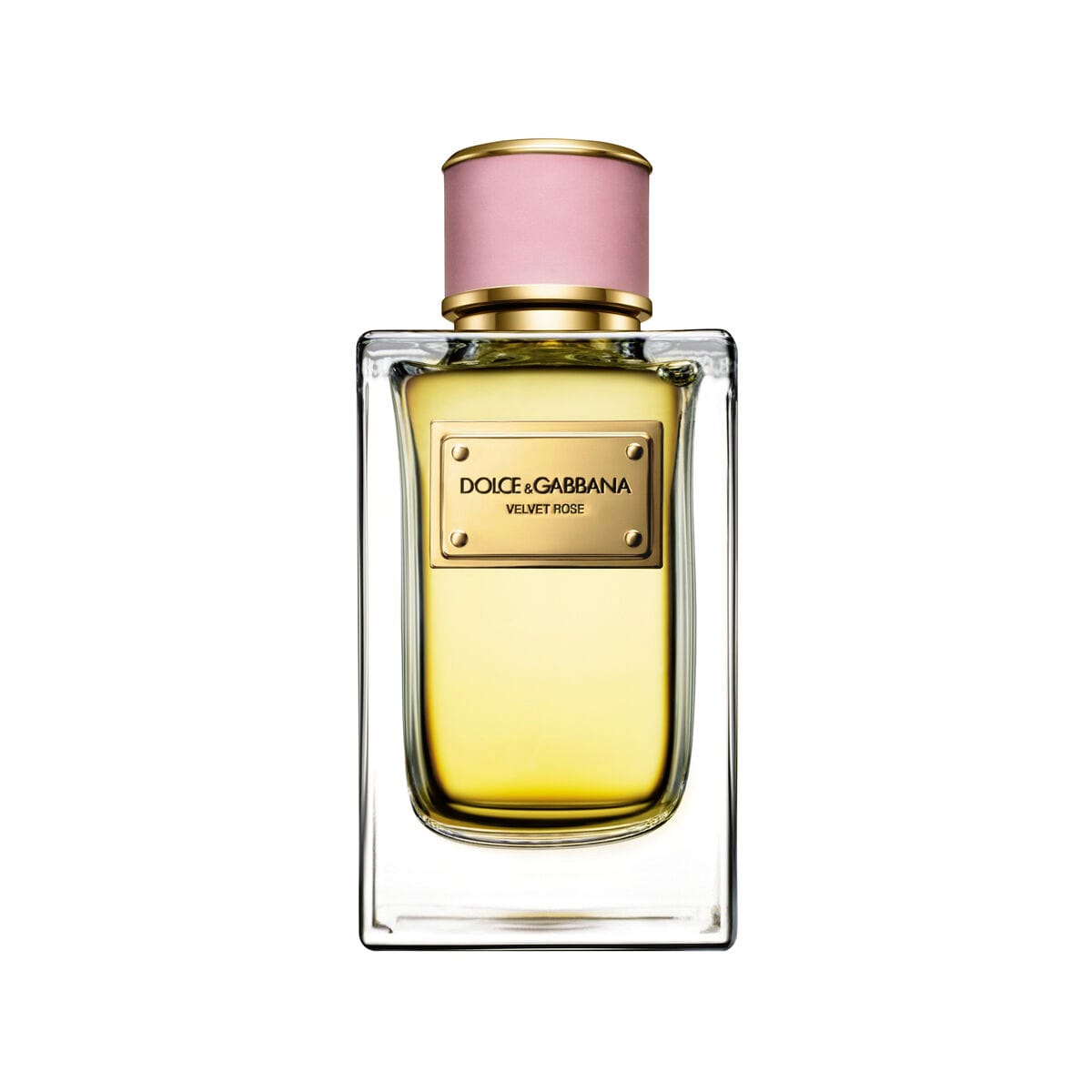 Dolce & Gabbana Velvet Rose