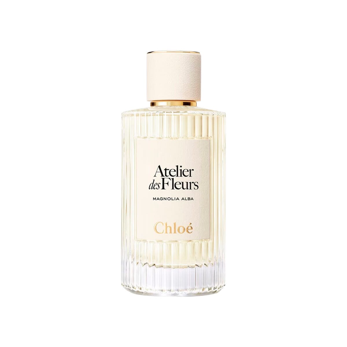 Chloe Atelier Des Fleurs Magnolia Alba