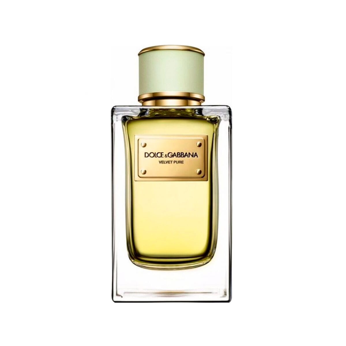 Dolce & Gabbana Velvet Pure